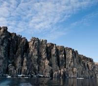 Bird Cliffs